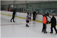 Learn to Skate assessment