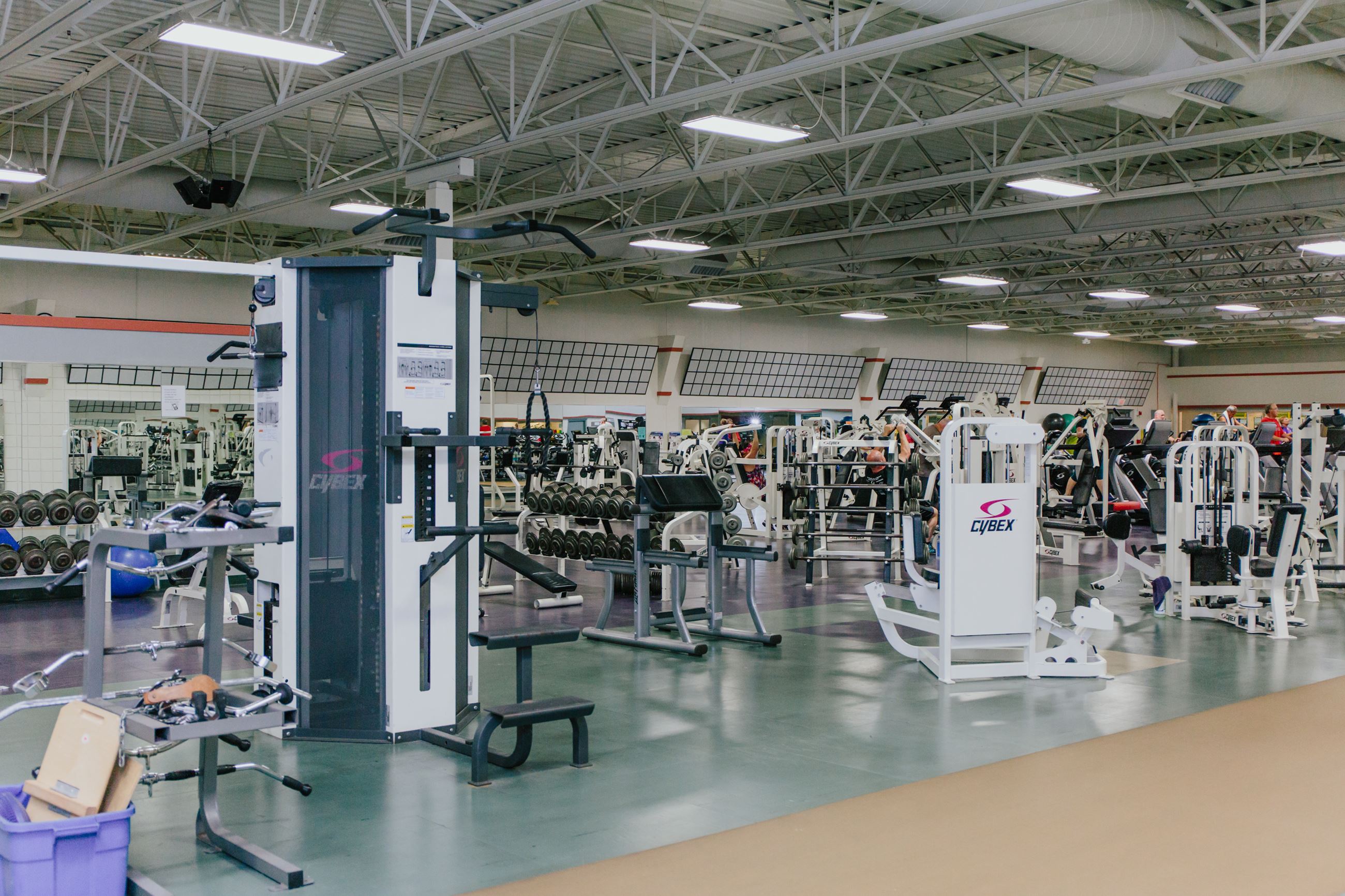 Gym floor free weights area